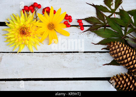 Herbst Dekoration Garten Und Blumen Blatter Banque D Images Photo