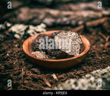 Champignons truffe noire Banque D'Images