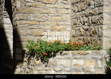 gronzjan,istrie,croatie,ville,église,clocher,église paroissiale,saint vitus Banque D'Images