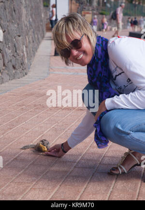 Drôle chipmunk animal avec femme de l'île de Fuerteventura, Espagne Banque D'Images