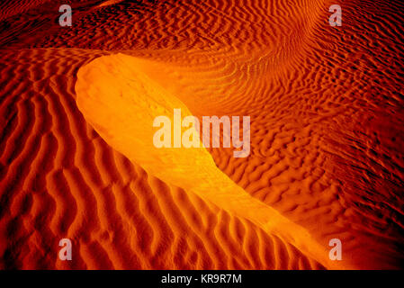 Détails des modèles de dérive du vent sur les grandes dunes de sable de Great Sand Hills au sud de spectre, en Saskatchewan Banque D'Images