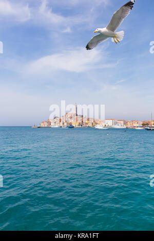 Belle vue sur la ville de Rovinj, Croatie, Europe Banque D'Images