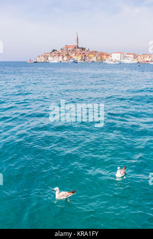 Belle vue sur la ville de Rovinj, Croatie, Europe Banque D'Images