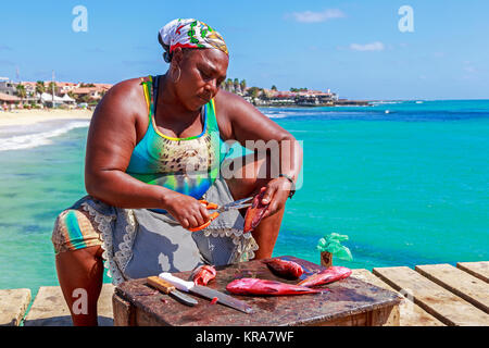 Femme de la région d'éviscération et de la préparation des poissons fraîchement pêchés, Santa Maria, île de Sal, Salina, Cap Vert, Afrique, Banque D'Images