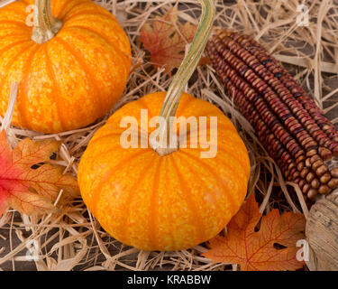 Citrouilles coloré et indiennes sur un con surface couverte de paille Banque D'Images