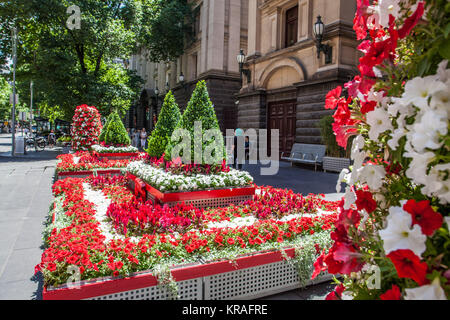 Melbourne, Australie - le 16 décembre 2017 : Belle fleur lit près de Melbourne town hall sur Collins street Banque D'Images