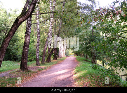 Belle allée d'automne dans le parc de la ville. Banque D'Images