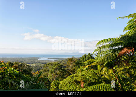 Vue de l'embouchure de la rivière Daintree Plage Alexandra Lookout, Cape Tribulation, Daintree National Park, Far North Queensland, Queensland, Australie, FNQ Banque D'Images