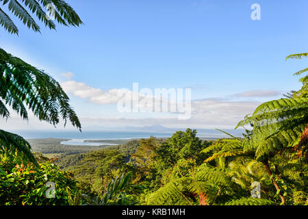 Vue de l'embouchure de la rivière Daintree Plage Alexandra Lookout, Cape Tribulation, Daintree National Park, Far North Queensland, Queensland, Australie, FNQ Banque D'Images