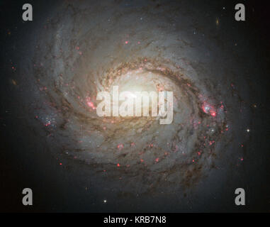 La NASA/ESA Hubble Space Telescope a capturé cette image vivante de galaxie spirale Messier 77 - une galaxie dans la constellation de Cetus, quelque 45 millions d'années-lumière de nous. Les traînées de rouge et bleu dans l'image sélectionner des poches de la formation des étoiles le long du bras, pinwheeling avec bandes de poussière s'étendant à travers la galaxie étoilée du centre. La galaxie appartient à une classe de galaxies connu sous le nom de galaxies Seyfert, qui ont des gaz ionisés autour d'un centre d'activité intense. Galaxie spirale Messier 77 par TVH Banque D'Images