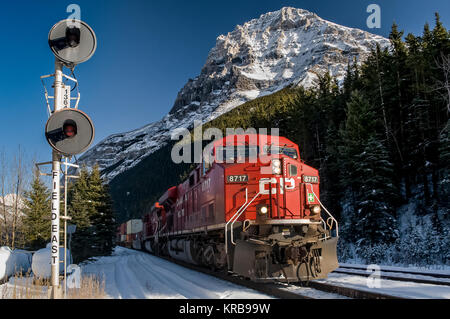 CP Rail Transport intermodal de marchandises de l'ouest dirigé par loco 8717 Champ signal passe à l'Est du parc national Yoho en hiver Banque D'Images