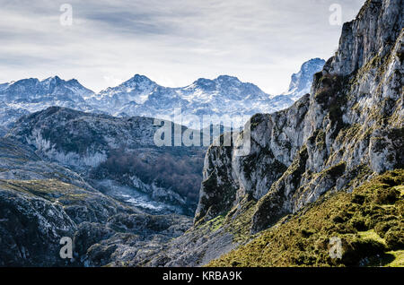 Picos de Europa, les Asturies. Des montagnes couvertes de neige avec une belle lumière naturelle et de l'herbe Banque D'Images