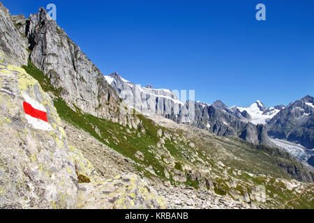 Le train de l'Eggishorn et la vue sur le glacier d'Aletsch et les montagnes Banque D'Images