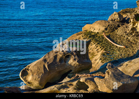 Détail de la formation rock et de l'océan vu de Jack Point et Biggs Park à Nanaimo, en Colombie-Britannique. Banque D'Images