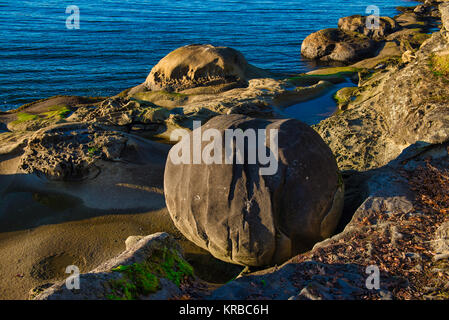 Détail de la formation rock et de l'océan vu de Jack Point et Biggs Park à Nanaimo, en Colombie-Britannique. Banque D'Images