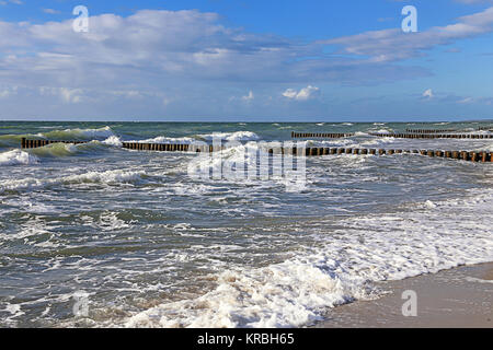 Épis sur la plage de la mer baltique à ahrenshoop Banque D'Images