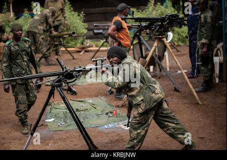 Des soldats des FARDC Nettoyage et contrôle des armes dans le parc national des Virunga en RDC au cours des opérations contre les milices FDLR Banque D'Images