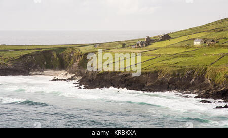 Briser les vagues sur les falaises de Slea Head sur la péninsule de Dingle, à l'ouest de l'Irlande, le comté de Kerry. Banque D'Images