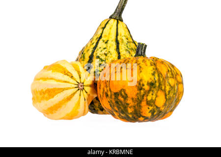 Légumes de décoration de citrouille isolé sur fond blanc Banque D'Images