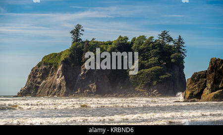 L'île de l'abbaye sur Ruby Beach Banque D'Images