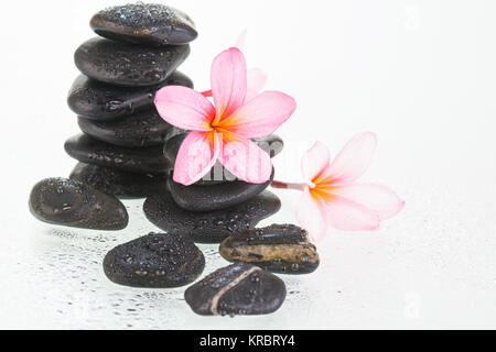 Plumeria fleurs et les pierres noires Banque D'Images