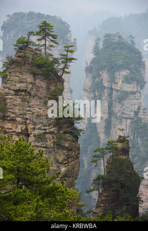 Parc forestier national de Zhangjiajie, Hunan, Chine Banque D'Images