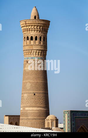 Le Kalyon Minaret, Boukhara, Ouzbékistan Banque D'Images