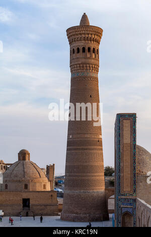 Le Kalyon Minaret, Boukhara, Ouzbékistan Banque D'Images