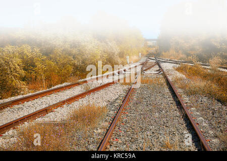 Les voies de chemin de fer dans le brouillard Banque D'Images