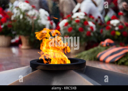 Flamme éternelle fleur rose au Victory Memorial Day Banque D'Images