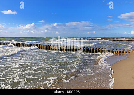 groynes sur la plage de la mer baltique près d'ahrenshoop Banque D'Images