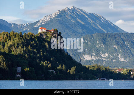 Le Château de Bled, Slovénie Banque D'Images