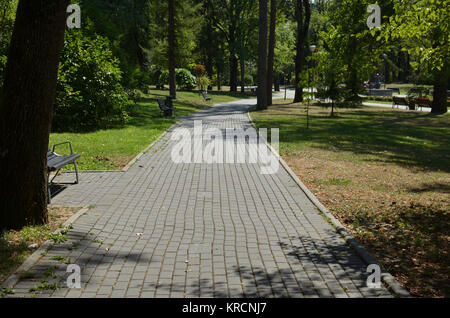 Chemin vide par un parc public en été montrant une atmosphère calme et paix Banque D'Images