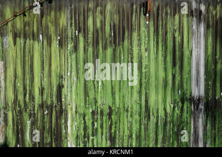 Mur de métal ondulé peint en vert Banque D'Images