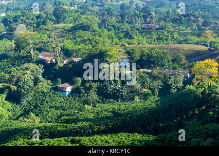 Paysage rural colombien Banque D'Images