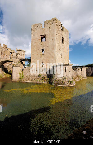 Château de Raglan près de Raglan, Gwent, une forteresse militaire construite au Moyen âge pour défendre la frontière galloise contre les Anglais. Il est devenu une ruine pendant la guerre civile anglaise. Ces dernières années, il a été populaire comme lieu de cinéma et de télévision. Une vue à travers les douves. Banque D'Images