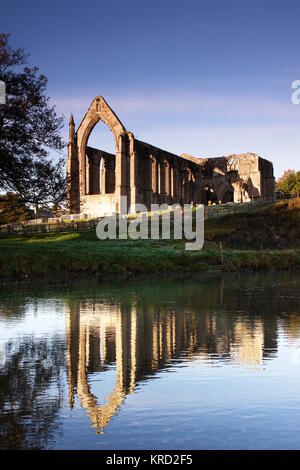 Abbaye de Bolton, dans les Yorkshire Dales. Elle a été fondée en 1151 par l'ordre augustinien, sur les rives de la rivière Wharfe. Vue ici de l'autre côté de la rivière. Banque D'Images