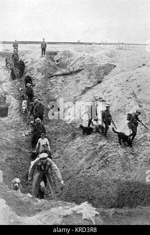 Dressage de chiens à la British War Dog School, WW1 Banque D'Images