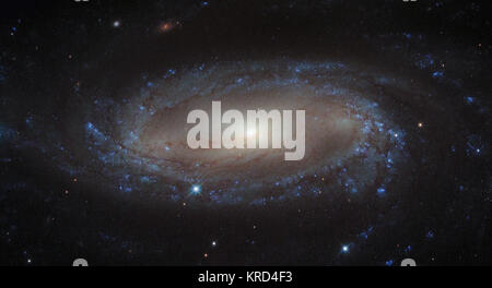 Ment plus de 110 millions d'années-lumière de la terre dans la constellation d'Antlia (la pompe à air) est la galaxie spirale IC 2560, montré ici dans une image de la NASA/ESA Hubble Space Telescope. A cette distance, c'est une galaxie spirale relativement proches, et fait partie de la grappe Antlia - un groupe de plus de 200 galaxies maintenus ensemble par la gravité. Ce cluster est inhabituel ; contrairement à la plupart des autres groupes de galaxies, il ne semble pas avoir de position dominante dans la galaxie. Dans cette image, il est facile de repérer l'IC 2560's des bras spiraux et structure. Cette spirale est ce que les astronomes appellent une galaxie Seyfert-2, une sorte de spirale ga Banque D'Images