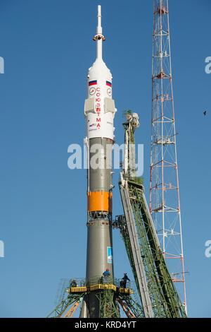 Grand bras mécanismes sur chaque côté de l'engin spatial Soyouz TMA-10M sont soulevées en position pour fixer la fusée à l'aire de lancement, le lundi, 23 septembre 2013 au cosmodrome de Baïkonour au Kazakhstan. Lancement de la fusée Soyouz est prévue pour le 26 septembre et vous enverra 37 expédition commandant de Soyouz Oleg Kotov, ingénieur de vol de la NASA Michael Hopkins et l'ingénieur de vol russe Sergei Ryazansky sur cinq ans et demi d'un mois une mission à bord de la Station spatiale internationale. Crédit photo : NASA/Carla Cioffi) Soyouz TMA-10M au cosmodrome de Baïkonour lancement (6) Banque D'Images