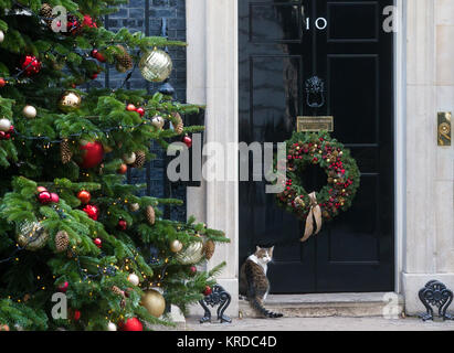 Larry le Chat,Chef Mouser au Conseil du Trésor au 10 Downing Street, la maison du premier ministre, Theresa peut, au moment de Noël avec l'arbre et les décorations Banque D'Images