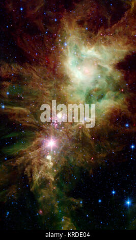 NGC 2264 Banque D'Images