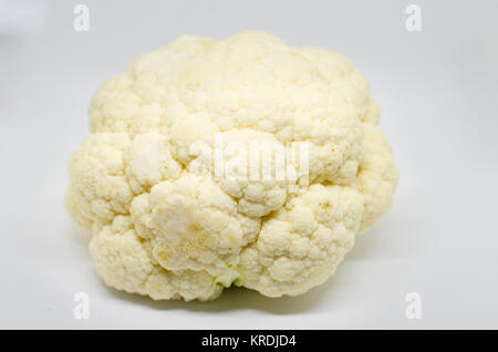 Le chou-fleur isolé sur fond blanc. Le chou-fleur est une de plusieurs légumes dans l'espèce Brassica oleracea dans le genre Brassica, qui est dans Banque D'Images