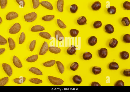 Définition de shell dans les amandes, noisettes, marrons sur fond jaune Banque D'Images