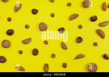 Définition de shell dans les amandes, noisettes, marrons sur fond jaune Banque D'Images