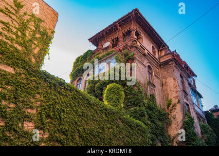 Vieille maison couverte de végétation à Bucarest Banque D'Images