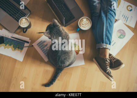 Espace créatif - fille avec son chat qui travaillent à domicile. Banque D'Images