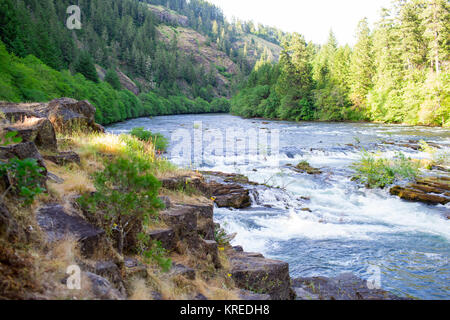 North Umpqua River près de Glide et Steamboat Oregon en terres forestières nationales protégées et préservées pour les générations futures. Banque D'Images