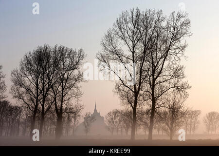 Mont Saint-Michel (Saint Michael's Mount), Normandie, nord-ouest de la France : Paysage avec des polders et des rangées de peupliers. (Pas disponible pour pro carte postale Banque D'Images