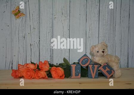 Ours blanc se trouve sur l'amour des pierres contre un mur en bois avec des roses oranges Banque D'Images